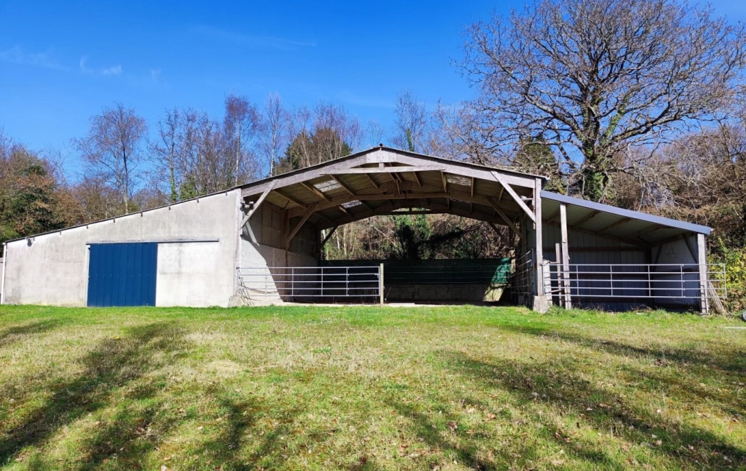 COEUR DE SAIRE IMMOBILIER : Maison / Villa | BRILLEVAST (50330) | 188 m2 | 399 000 € 